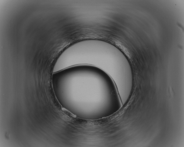 X0000091920305200709051236
