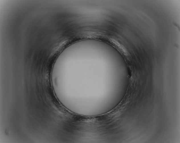 X0000091920306200709051236