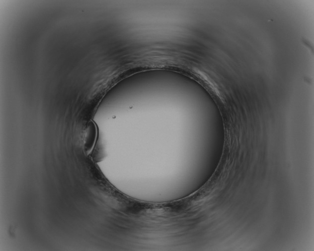 X0000091920307200709051236