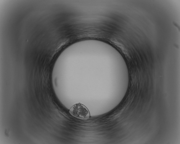 X0000091920308200709051236