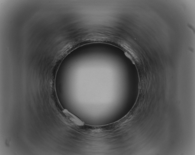 X0000091920309200709051236