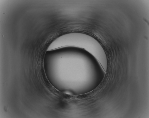 X0000091920311200709051236