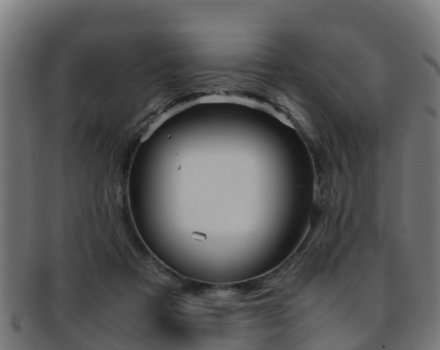 X0000091920313200709051236