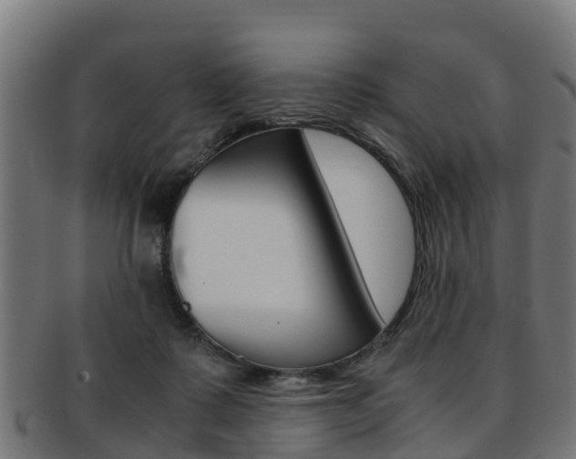 X0000091920315200709051236