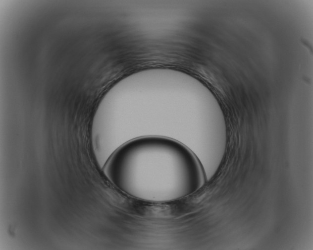 X0000091920317200709051236