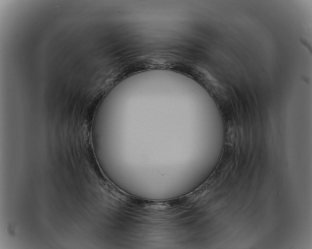X0000091920318200709051236