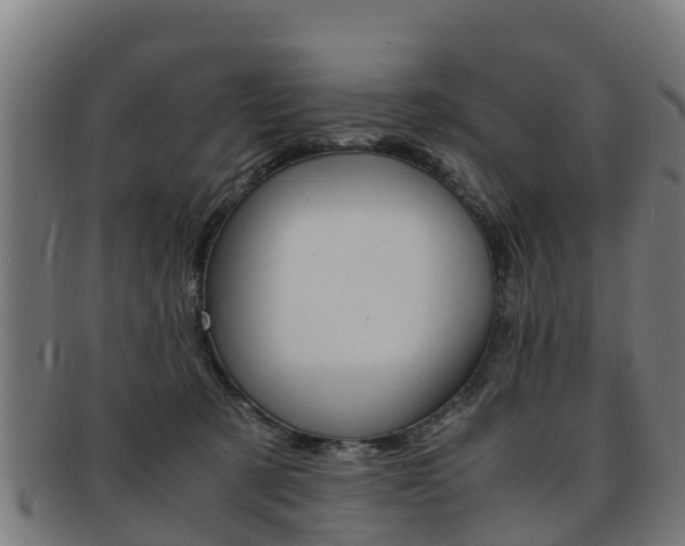 X0000091920321200709051236