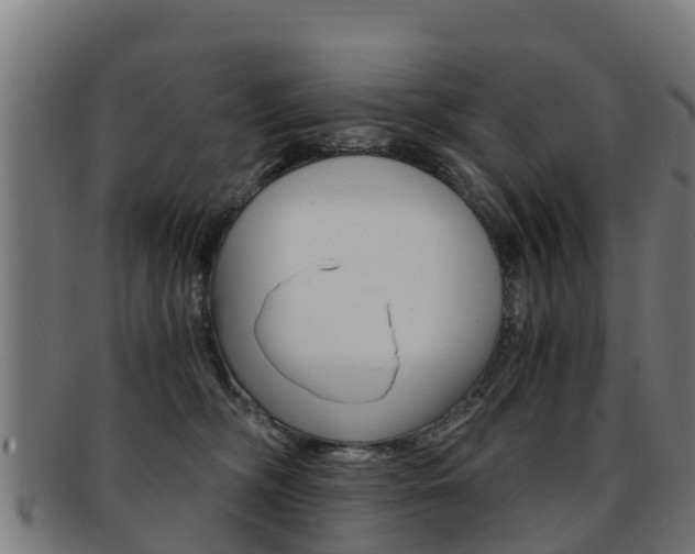 X0000091920326200709051236