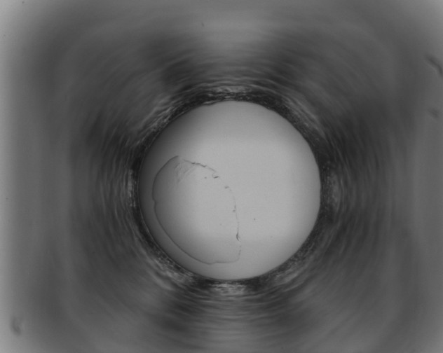 X0000091920328200709051236