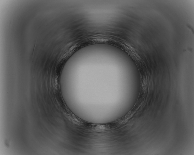 X0000091920330200709051236