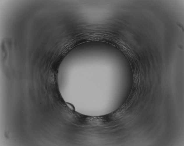 X0000091920331200709051236