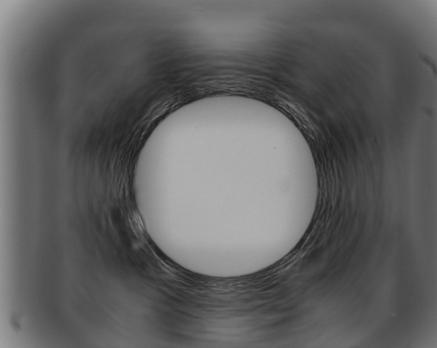 X0000091920333200709051236