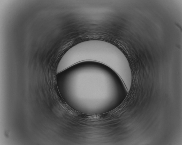 X0000091920335200709051236