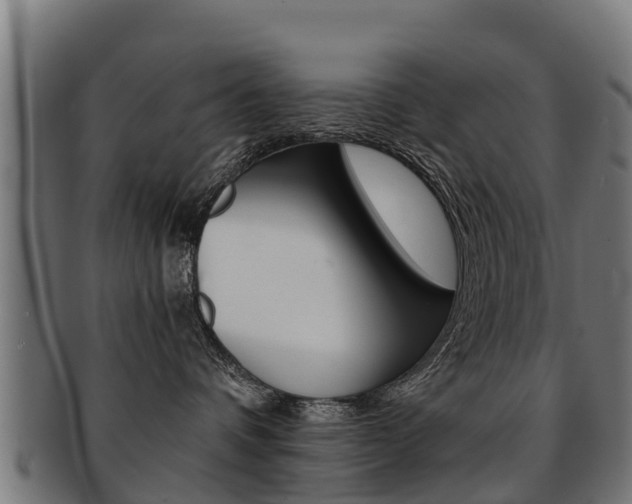 X0000091920336200709051236