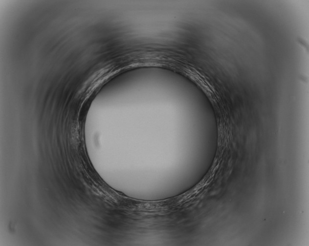 X0000091920338200709051235
