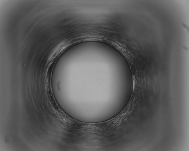 X0000091920339200709051235