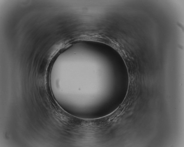 X0000091920340200709051235