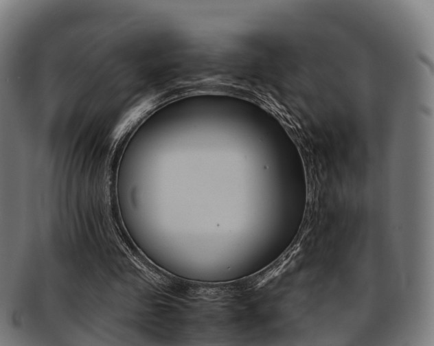 X0000091920341200709051235