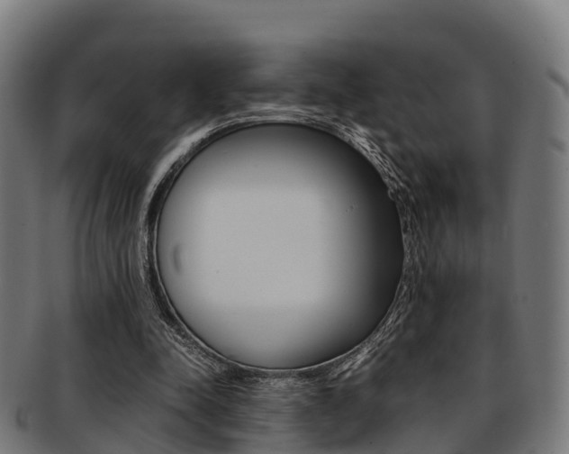 X0000091920342200709051235