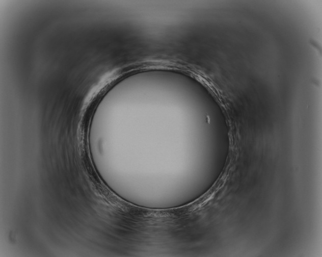 X0000091920343200709051235