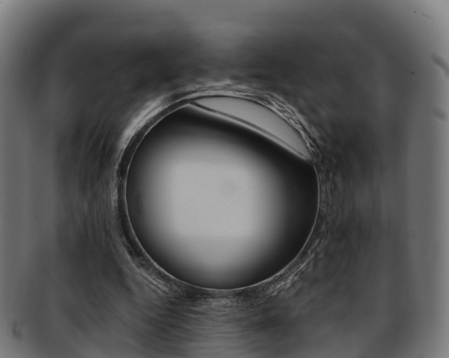 X0000091920344200709051235