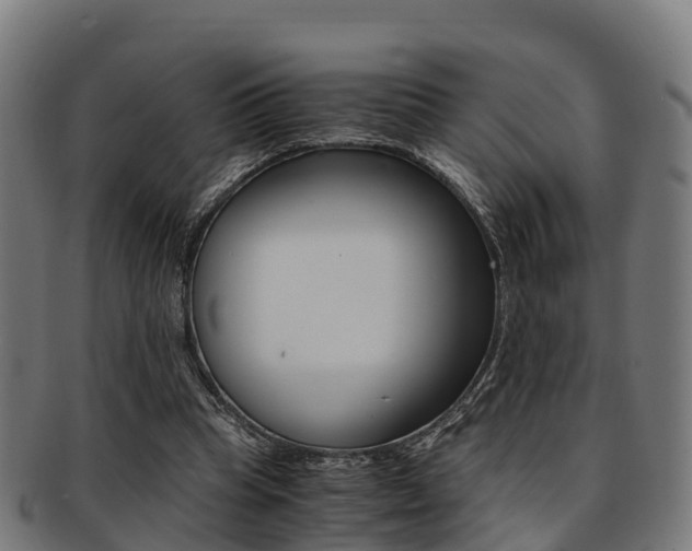 X0000091920345200709051235