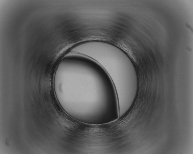 X0000091920348200709051235