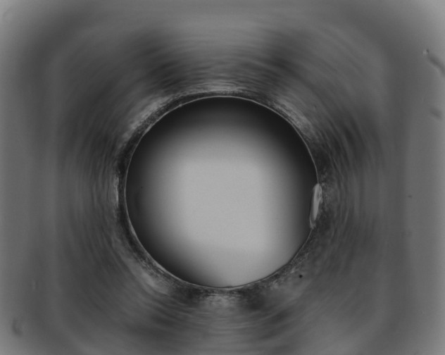 X0000091920350200709051235
