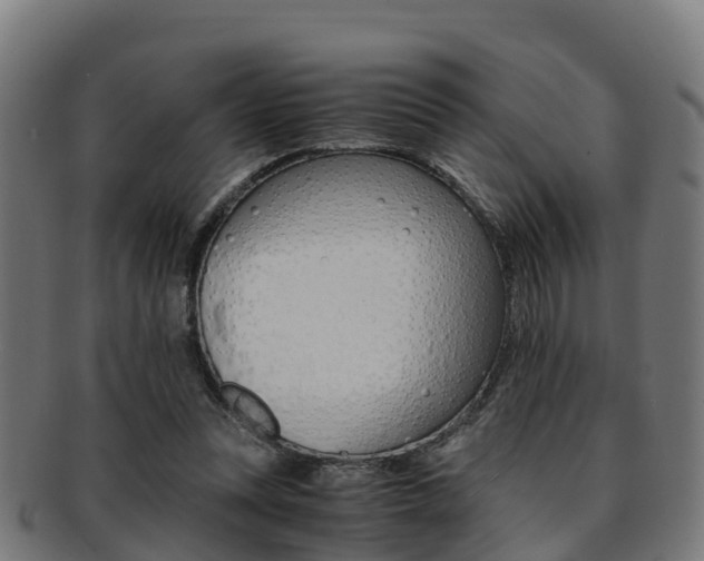 X0000091920351200709051235