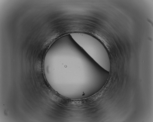 X0000091920353200709051235
