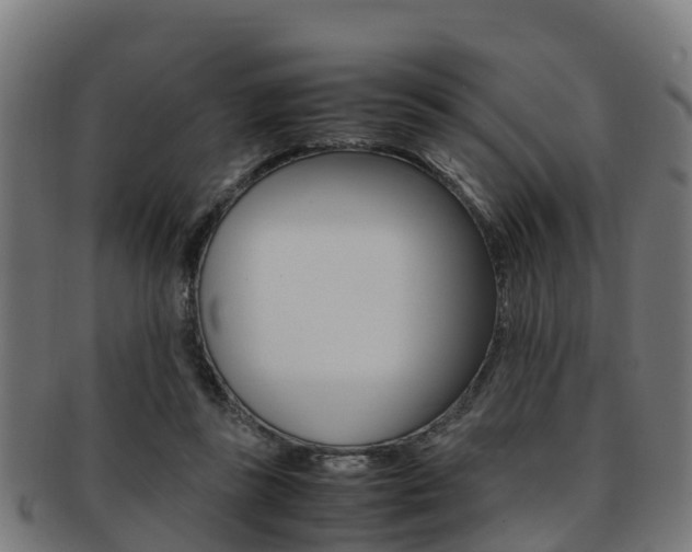 X0000091920355200709051235