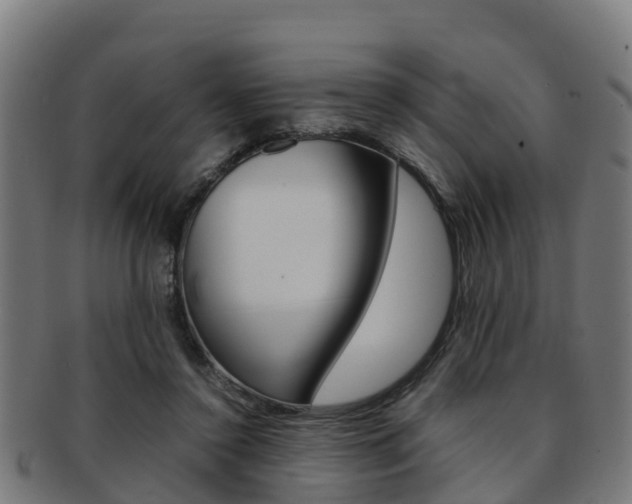 X0000091920356200709051235