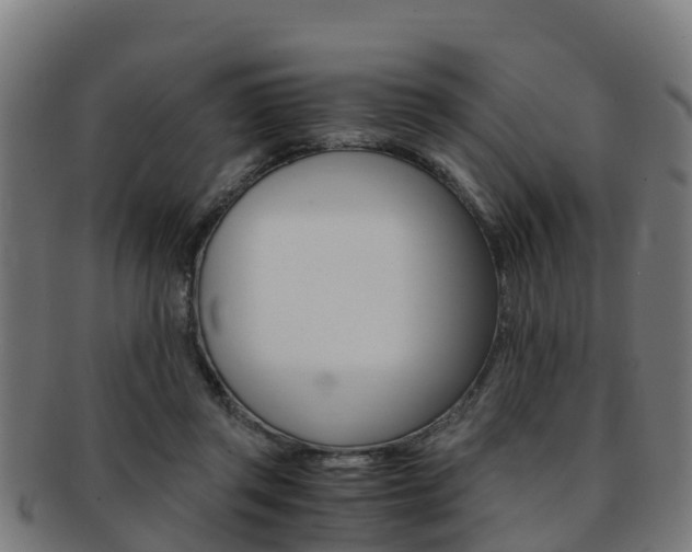 X0000091920357200709051235