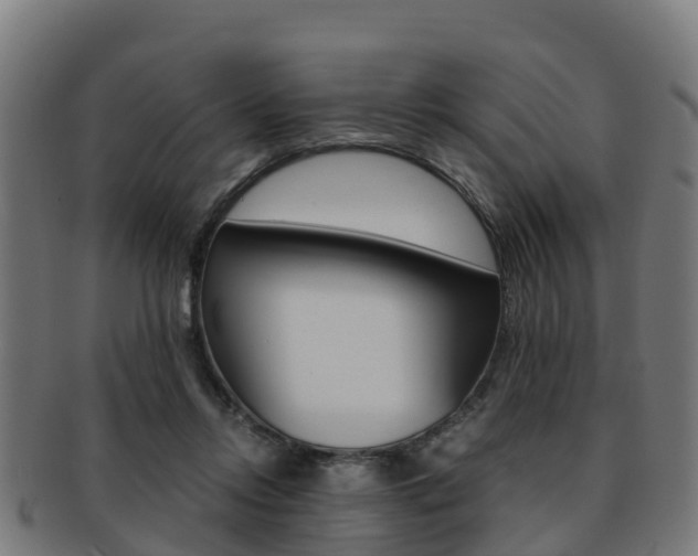 X0000091920358200709051235