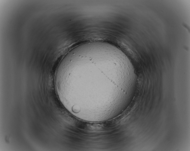 X0000091920359200709051235