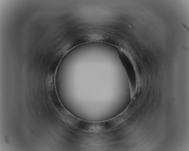 X0000091920360200709051235