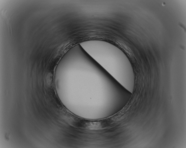 X0000091920361200709051235