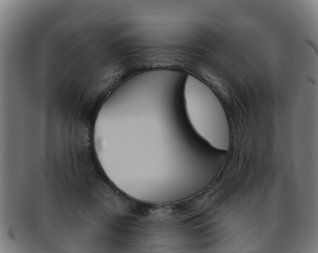 X0000091920362200709051235