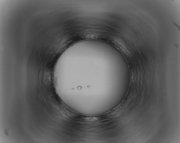 X0000091920363200709051235