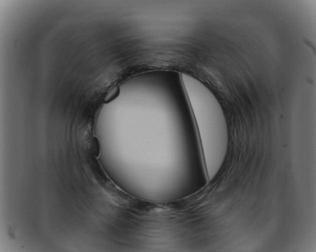 X0000091920364200709051235