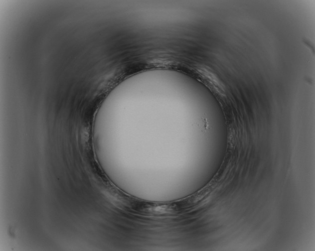 X0000091920365200709051235
