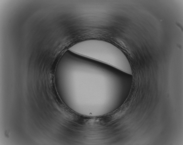 X0000091920366200709051235