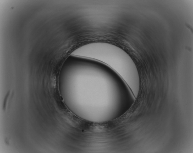 X0000091920368200709051235