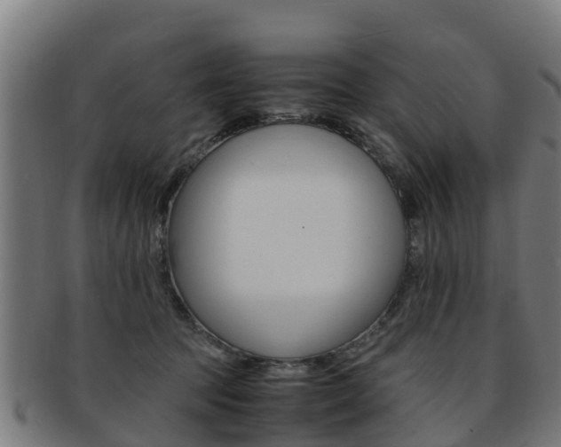 X0000091920369200709051235
