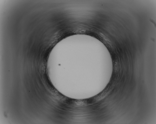 X0000091920370200709051235