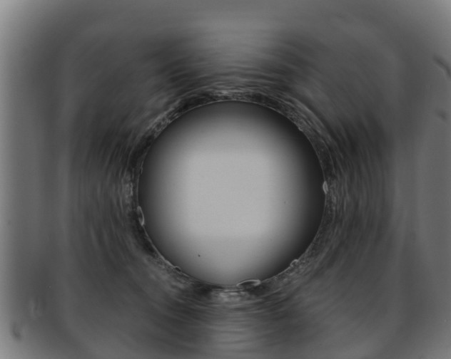 X0000091920372200709051235