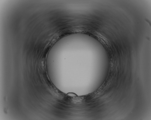 X0000091920373200709051235