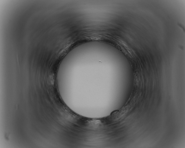 X0000091920374200709051235