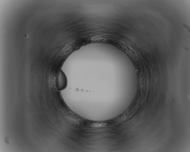 X0000091920375200709051235