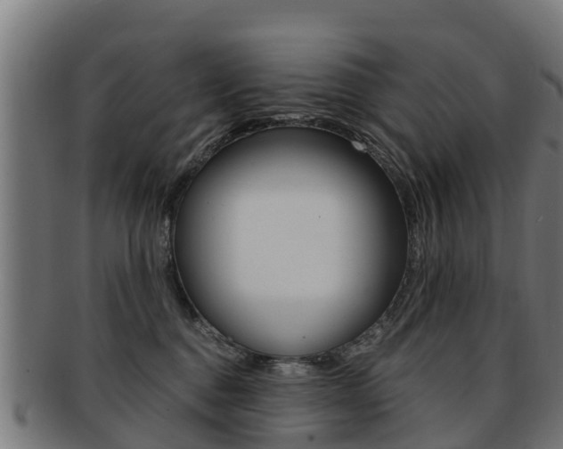 X0000091920376200709051235
